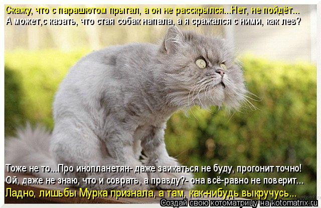 Скажу, что с парашютом прыгал, а он не расскрылся...Нет, не пойдёт... А может,с казать, что стая соба... Котоматрица: Скажу, что с парашютом прыгал, а он не расскрылся...Нет, не пойдёт... А может,с казать, что стая собак напала, а я сражался с ними, как лев? Тоже н