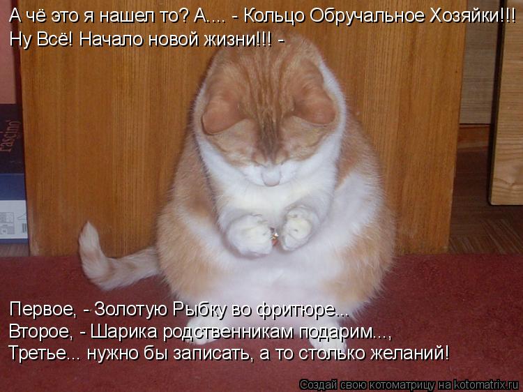 А чё это я нашел то? А.... - Кольцо Обручальное Хозяйки!!! Ну Всё! Начало новой жизни!!! - Первое, -... Котоматрица: А чё это я нашел то? А.... - Кольцо Обручальное Хозяйки!!! Ну Всё! Начало новой жизни!!! - Первое, - Золотую Рыбку во фритюре... Второе, - Шарика род