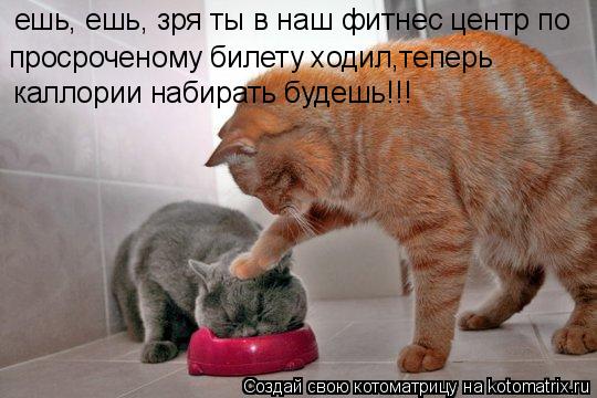 ешь, ешь, зря ты в наш фитнес центр по просроченому билету ходил,теперь каллории набирать будешь!!!... Котоматрица: ешь, ешь, зря ты в наш фитнес центр по просроченому билету ходил,теперь каллории набирать будешь!!!