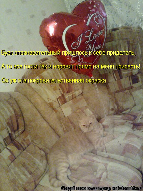 Буек опознавательный пришлось к себе приделать, А то все гости так и норовят прямо на меня присесть! ... Котоматрица: Буек опознавательный пришлось к себе приделать, А то все гости так и норовят прямо на меня присесть! Ох уж эта покровительственная окраска