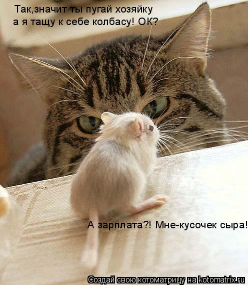 а я тащу к себе колбасу! ОК? А зарплата?! Мне-кусочек сыра! Так,значит ты пугай хозяйку... Котоматрица: а я тащу к себе колбасу! ОК? А зарплата?! Мне-кусочек сыра! Так,значит ты пугай хозяйку