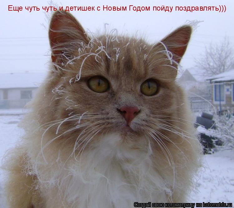 Еще чуть чуть и детишек с Новым Годом пойду поздравлять)))... Котоматрица: Еще чуть чуть и детишек с Новым Годом пойду поздравлять)))
