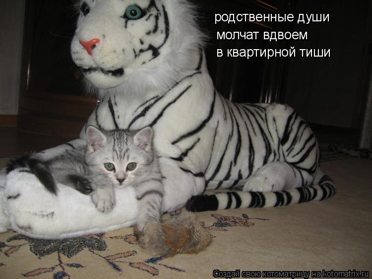родственные души молчат вдвоем в квартирной тиши... Котоматрица: родственные души молчат вдвоем в квартирной тиши