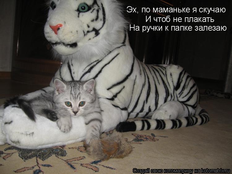 Эх, по маманьке я скучаю Эх, по маманьке я скучаю И чтоб не плакать На ручки к папке залезаю... Котоматрица: Эх, по маманьке я скучаю Эх, по маманьке я скучаю И чтоб не плакать На ручки к папке залезаю