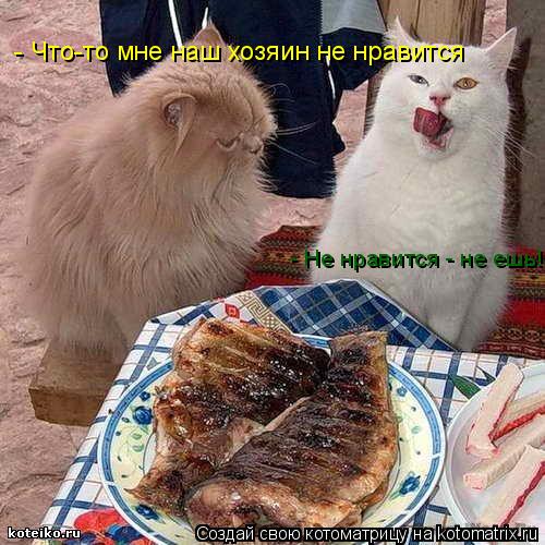 - Не нравится - не ешь! - Что-то мне наш хозяин не нравится... Котоматрица: - Не нравится - не ешь! - Что-то мне наш хозяин не нравится