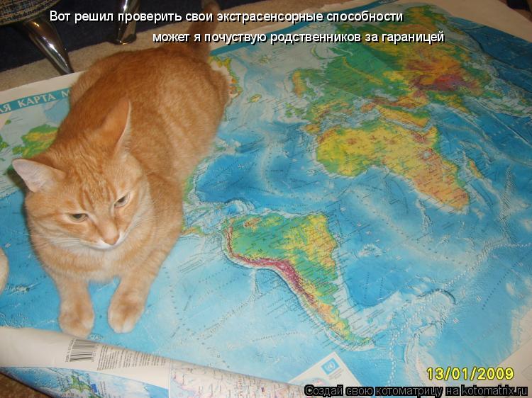 Вот решил проверить свои экстрасенсорные способности может я почуствую родственников за гараницей... Котоматрица: Вот решил проверить свои экстрасенсорные способности может я почуствую родственников за гараницей