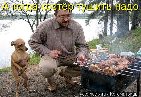 А когда костёр тушить надо... Котоматрица: А когда костёр тушить надо