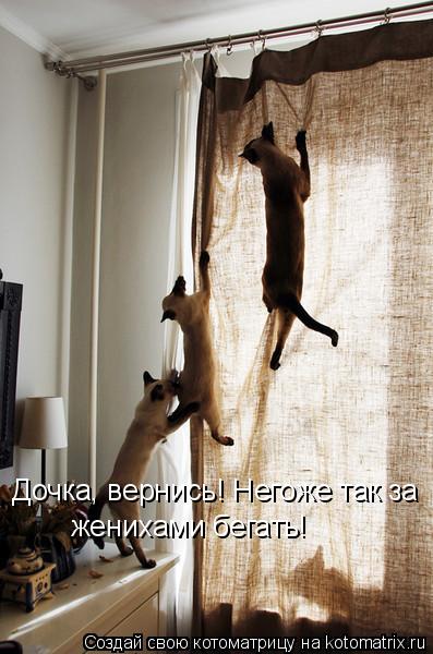 Дочка, вернись! Негоже так за женихами бегать!... Котоматрица: Дочка, вернись! Негоже так за женихами бегать!