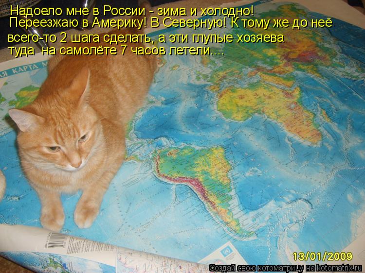 Надоело мне в России - зима и холодно! Переезжаю в Америку! В Северную! К тому же до неё всего-то 2 ш... Котоматрица: Надоело мне в России - зима и холодно! Переезжаю в Америку! В Северную! К тому же до неё всего-то 2 шага сделать, а эти глупые хозяева туда на с