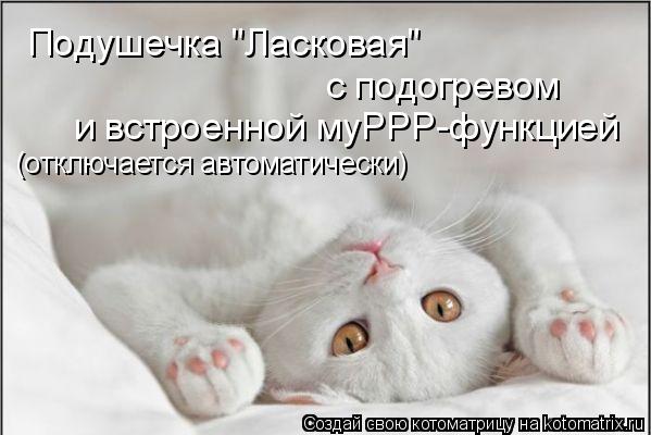 Подушечка "Ласковая" с подогревом и встроенной муРРР-функцией (отключается автоматически)... Котоматрица: Подушечка "Ласковая" с подогревом и встроенной муРРР-функцией (отключается автоматически)