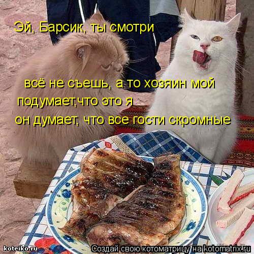 Эй, Барсик, ты смотри всё не съешь, а то хозяин мой подумает,что это я он думает, что все гости ск... Котоматрица: Эй, Барсик, ты смотри всё не съешь, а то хозяин мой подумает,что это я он думает, что все гости скромные