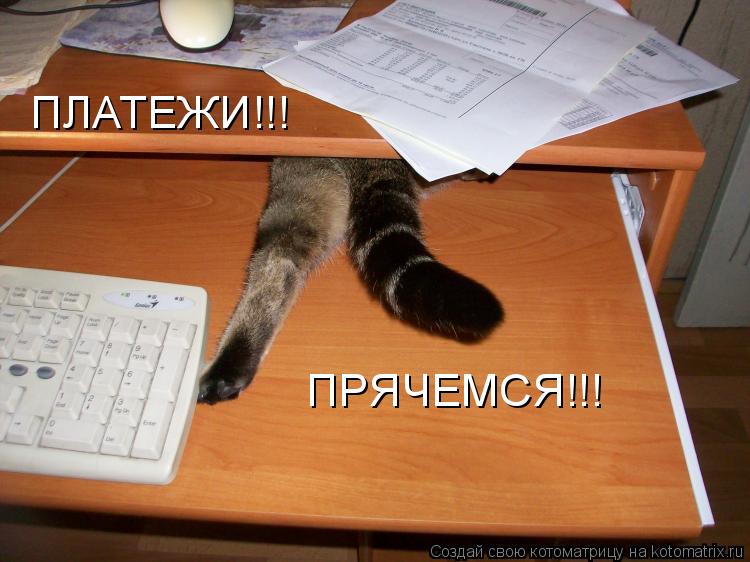 ПЛАТЕЖИ!!! ПРЯЧЕМСЯ!!!... Котоматрица: ПЛАТЕЖИ!!! ПРЯЧЕМСЯ!!!