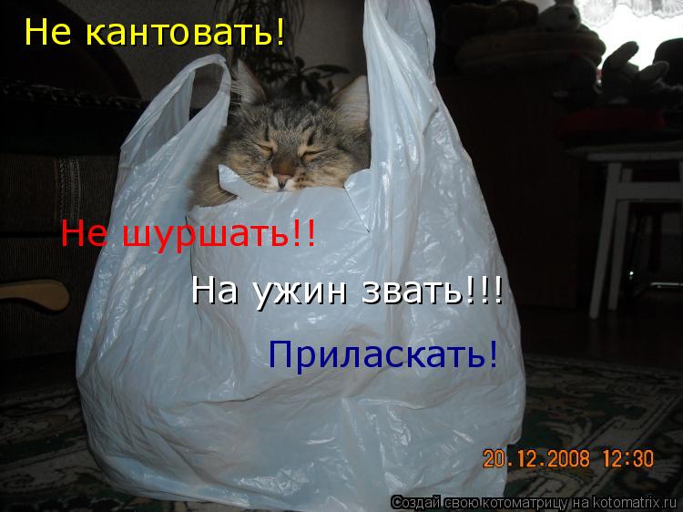 Не кантовать! Не шуршать!! На ужин звать!!! Приласкать!... Котоматрица: Не кантовать! Не шуршать!! На ужин звать!!! Приласкать!