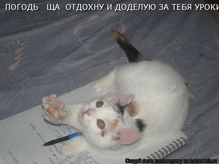 ПОГОДЬ ЩА ОТДОХНУ И ДОДЕЛУЮ ЗА ТЕБЯ УРОКИ... Котоматрица: ПОГОДЬ ЩА ОТДОХНУ И ДОДЕЛУЮ ЗА ТЕБЯ УРОКИ