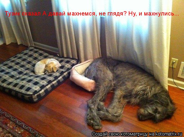 Тузик сказал А давай махнемся, не глядя? Ну, и махнулись...... Котоматрица: Тузик сказал А давай махнемся, не глядя? Ну, и махнулись...