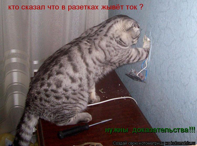 кто сказал что в разетках жывёт ток ? нужны доказательства!!!... Котоматрица: кто сказал что в разетках жывёт ток ? нужны доказательства!!!