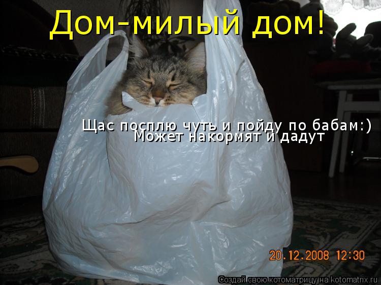Дом-милый дом! Щас посплю чуть и пойду по бабам:) Может накормят и дадут... Котоматрица: Дом-милый дом! Щас посплю чуть и пойду по бабам:) Может накормят и дадут