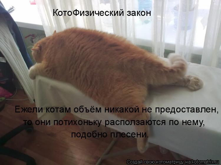 Котоматрица: КотоФизический закон  Ежели котам объём никакой не предоставлен, то они потихоньку расползаются по нему,  подобно плесени.