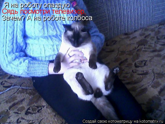 Котоматрица: Я на роботу опаздую  Сядь посмотри телевизор,  Зачем? А на роботе колбоса