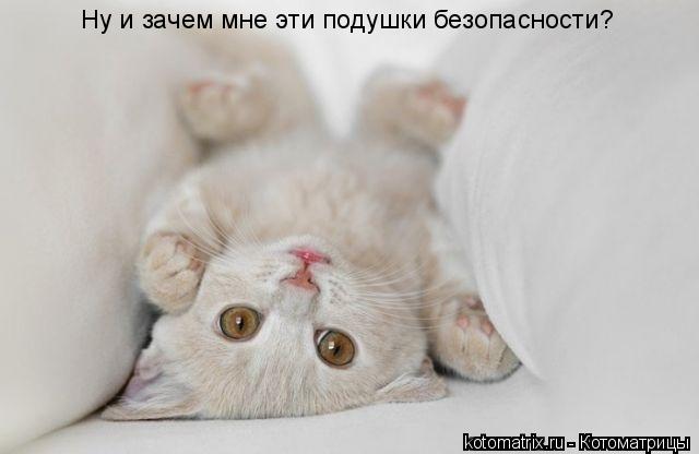 Котоматрица: Ну и зачем мне эти подушки безопасности?