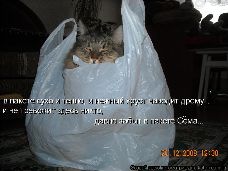 Котоматрица: в пакете сухо и тепло, и нежный хруст наводит дрему... и не тревожит здесь никто, давно забыт в пакете Сема... .. ..