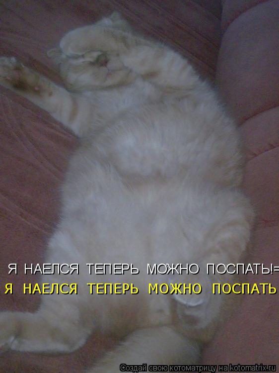 Котоматрица: Я  НАЕЛСЯ  ТЕПЕРЬ  МОЖНО  ПОСПАТЬ!=) Я  НАЕЛСЯ  ТЕПЕРЬ  МОЖНО  ПОСПАТЬ!=)