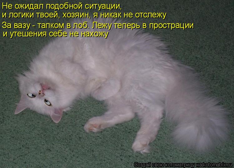 Котоматрица: Не ожидал подобной ситуации,  и логики твоей, хозяин, я никак не отслежу За вазу - тапком в лоб. Лежу теперь в прострации и утешения себе не на