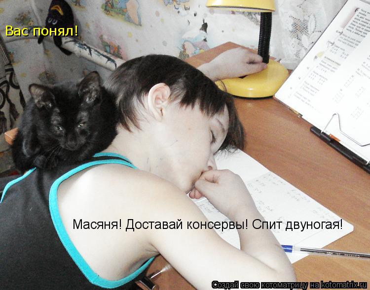 Котоматрица: Масяня! Доставай консервы! Спит двуногая! Вас понял!