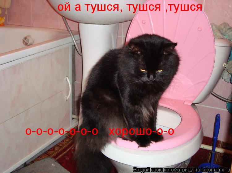 Котоматрица: ой а тушся, тушся ,тушся о-о-о-о-о-о-о   хорошо-о-о