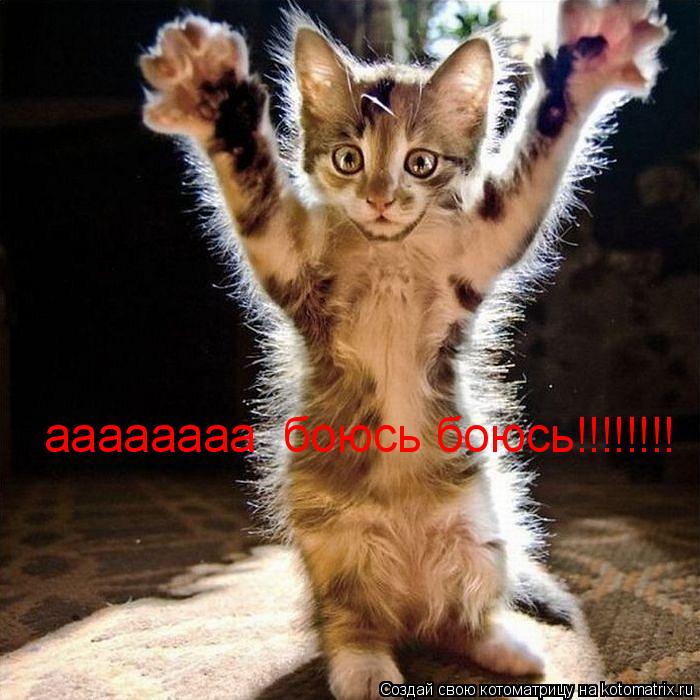 аааааааа боюсь боюсь!!!!!!!!... Котоматрица: аааааааа боюсь боюсь!!!!!!!!