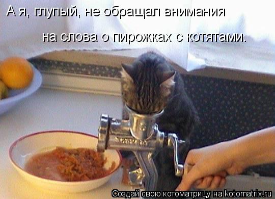 А я, глупый, не обращал внимания на слова о пирожках с котятами.... Котоматрица: А я, глупый, не обращал внимания на слова о пирожках с котятами.