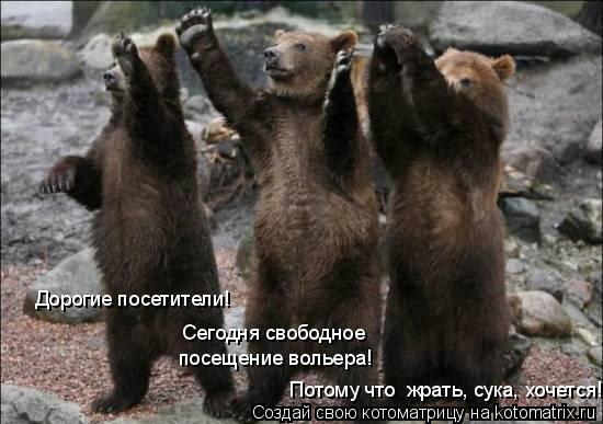 Дорогие посетители! Сегодня свободное посещение вольера! Потому что жрать, сука, хочется!... Котоматрица: Дорогие посетители! Сегодня свободное посещение вольера! Потому что жрать, сука, хочется!