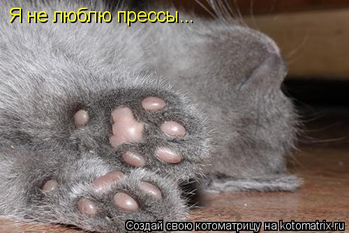 Я не люблю прессы...... Котоматрица: Я не люблю прессы...