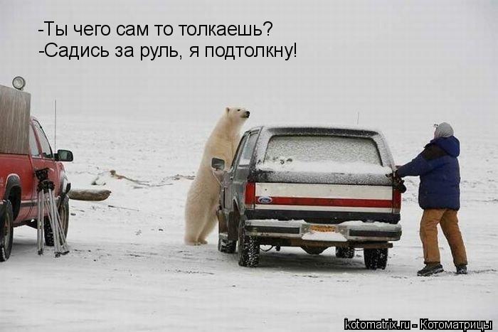 -Ты чего сам то толкаешь? -Садись за руль, я подтолкну!... Котоматрица: -Ты чего сам то толкаешь? -Садись за руль, я подтолкну!
