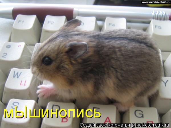мЫшинопись... Котоматрица: мЫшинопись