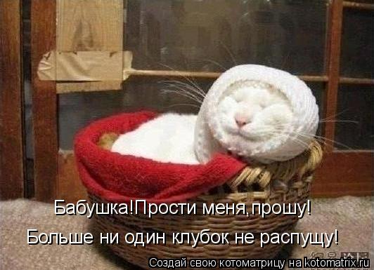 Бабушка!Прости меня,прошу! Больше ни один клубок не распущу!... Котоматрица: Бабушка!Прости меня,прошу! Больше ни один клубок не распущу!
