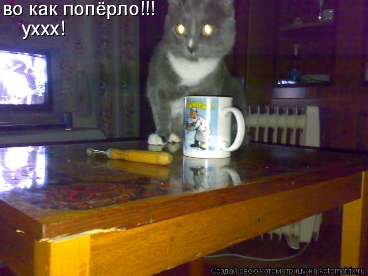 во как попёрло!!! уххх!... Котоматрица: во как попёрло!!! уххх!