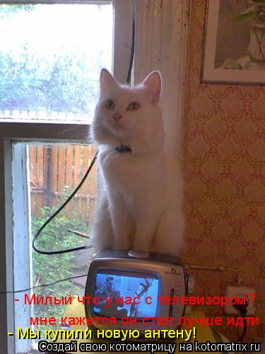 мне кажется он стал лучше идти - Милый что у нас с телевизором? - Мы купили новую антену!... Котоматрица: мне кажется он стал лучше идти - Милый что у нас с телевизором? - Мы купили новую антену!