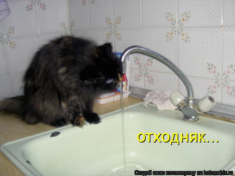 отходняк...... Котоматрица: отходняк...
