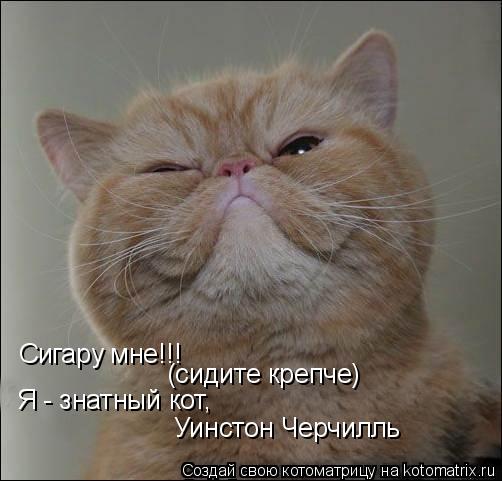 Сигару мне!!! (сидите крепче) Я - знатный кот, Уинстон Черчилль... Котоматрица: Сигару мне!!! (сидите крепче) Я - знатный кот, Уинстон Черчилль