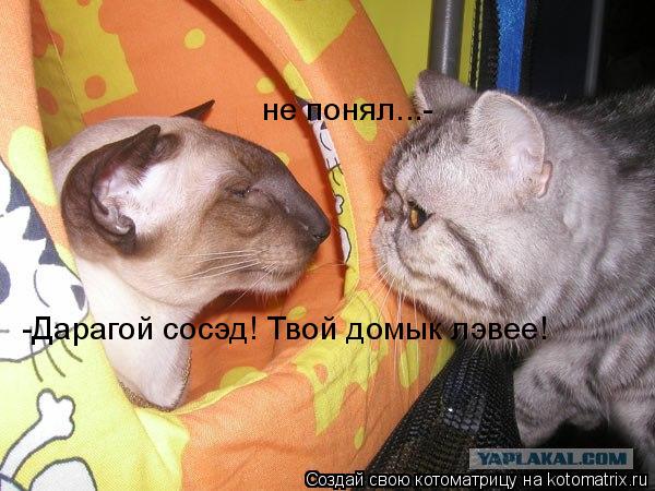 -Дарагой сосэд! Твой домык лэвее! не понял...-... Котоматрица: -Дарагой сосэд! Твой домык лэвее! не понял...-