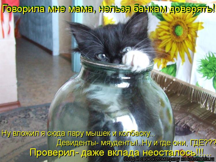 Ну вложил я сюда пару мышек и колбаску... Девиденты- мяуденты!..Ну и где они, ГДЕ??? Проверил- даже в... Котоматрица: Ну вложил я сюда пару мышек и колбаску... Девиденты- мяуденты!..Ну и где они, ГДЕ??? Проверил- даже вклада неосталось!!!... Говорила мне мама, нель