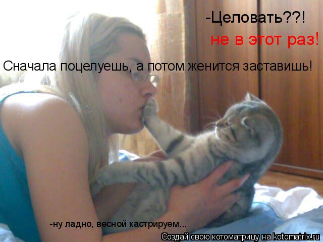-Целовать??! не в этот раз! Сначала поцелуешь, а потом женится заставишь! -ну ладно, весной кастрируе... Котоматрица: -Целовать??! не в этот раз! Сначала поцелуешь, а потом женится заставишь! -ну ладно, весной кастрируем...