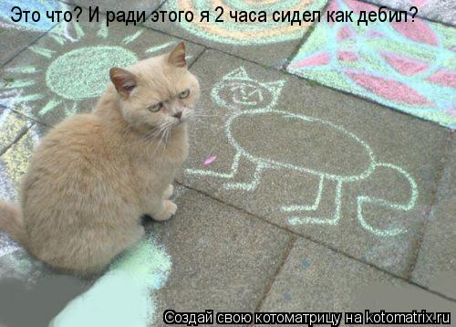 Это что? И ради этого я 2 часа сидел как дебил?... Котоматрица: Это что? И ради этого я 2 часа сидел как дебил?