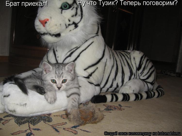 Ну что Тузик? Теперь поговорим? Брат приехал!... Котоматрица: Ну что Тузик? Теперь поговорим? Брат приехал!
