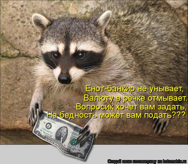 Енот-банкир не унывает, Валюту в речке отмывает. Вопросик хочет вам задать, На бедность может вам под... Котоматрица: Енот-банкир не унывает, Валюту в речке отмывает. Вопросик хочет вам задать, На бедность может вам подать???