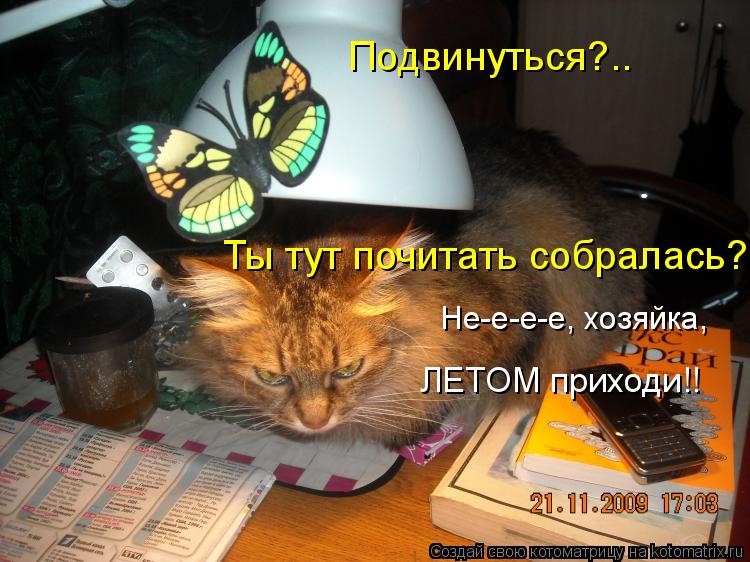 Подвинуться?.. Ты тут почитать собралась?.. Не-е-е-е, хозяйка, но летом приходи ЛЕТОМ приходи!!... Котоматрица: Подвинуться?.. Ты тут почитать собралась?.. Не-е-е-е, хозяйка, но летом приходи ЛЕТОМ приходи!!