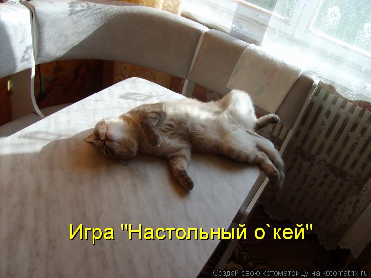 Игра "Настольный о`кей"... Котоматрица: Игра "Настольный о`кей"