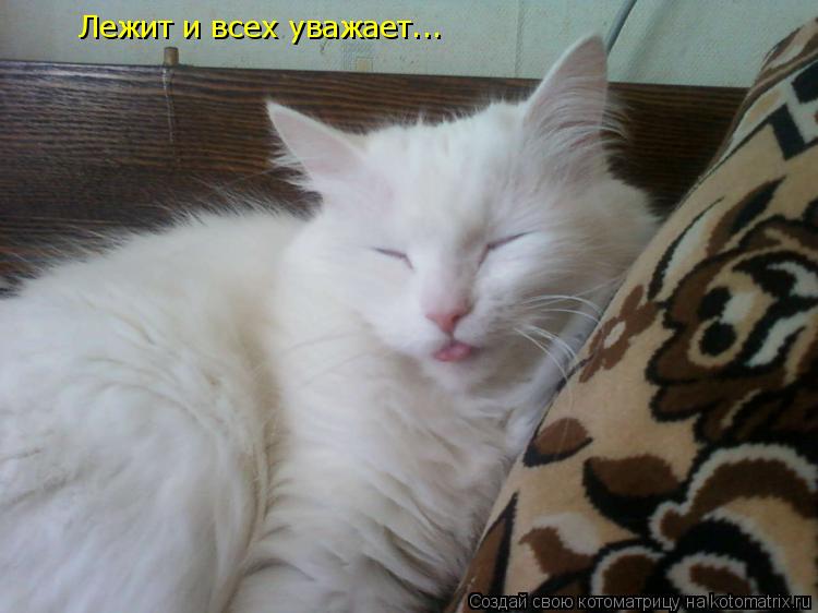 Лежит и всех уважает...... Котоматрица: Лежит и всех уважает...