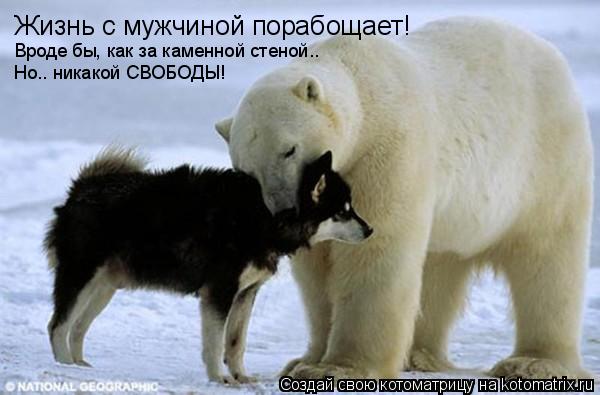 Жизнь с мужчиной порабощает! Вроде бы, как за каменной стеной.. Но.. никакой СВОБОДЫ!... Котоматрица: Жизнь с мужчиной порабощает! Вроде бы, как за каменной стеной.. Но.. никакой СВОБОДЫ!
